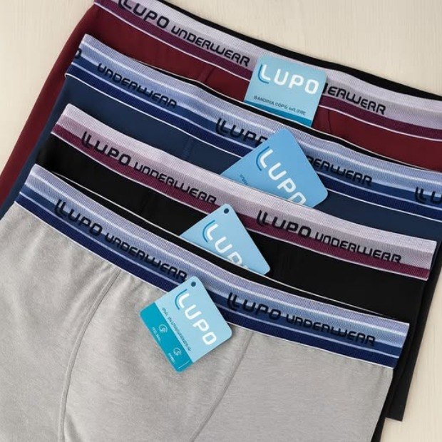 Kit 10 Cuecas Boxer Lupo Algodão Confortável Box Original