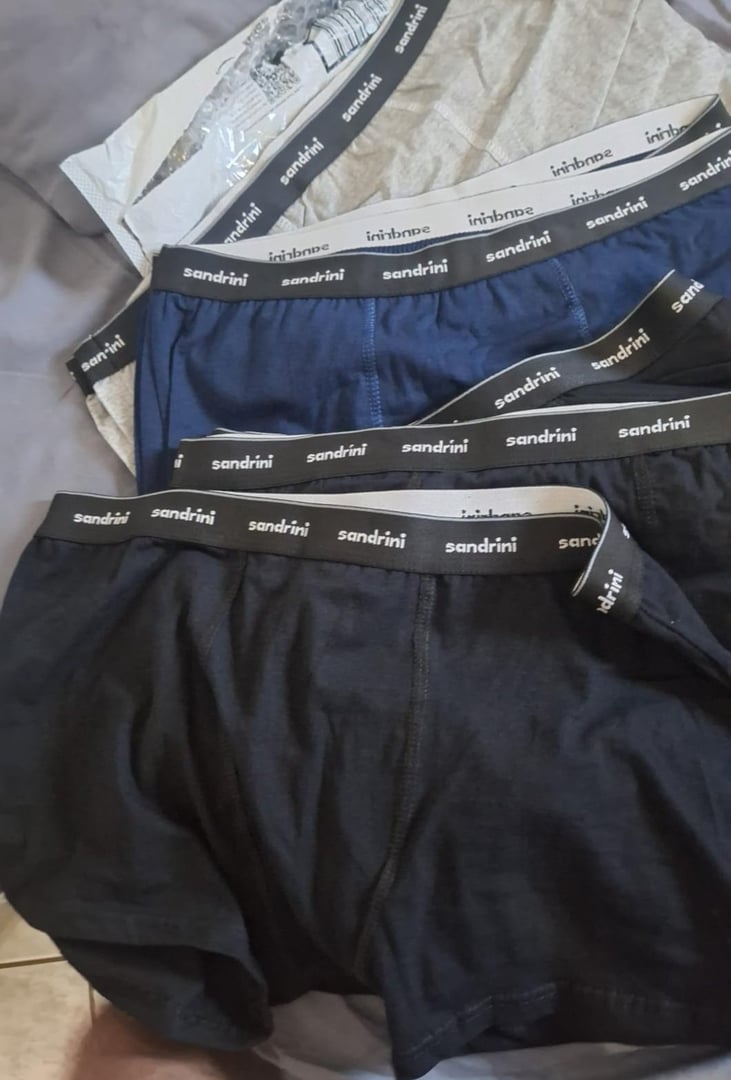 Kit 10 Cuecas Sandrini Boxer Polo 100% Algodão Box Masculinas