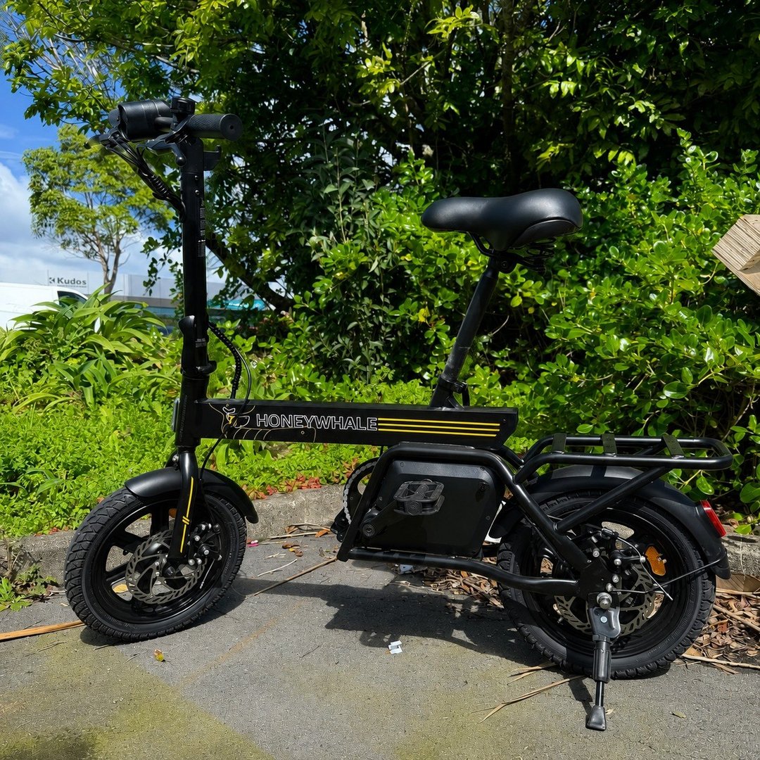 Scooter Motor Honeywhale B20