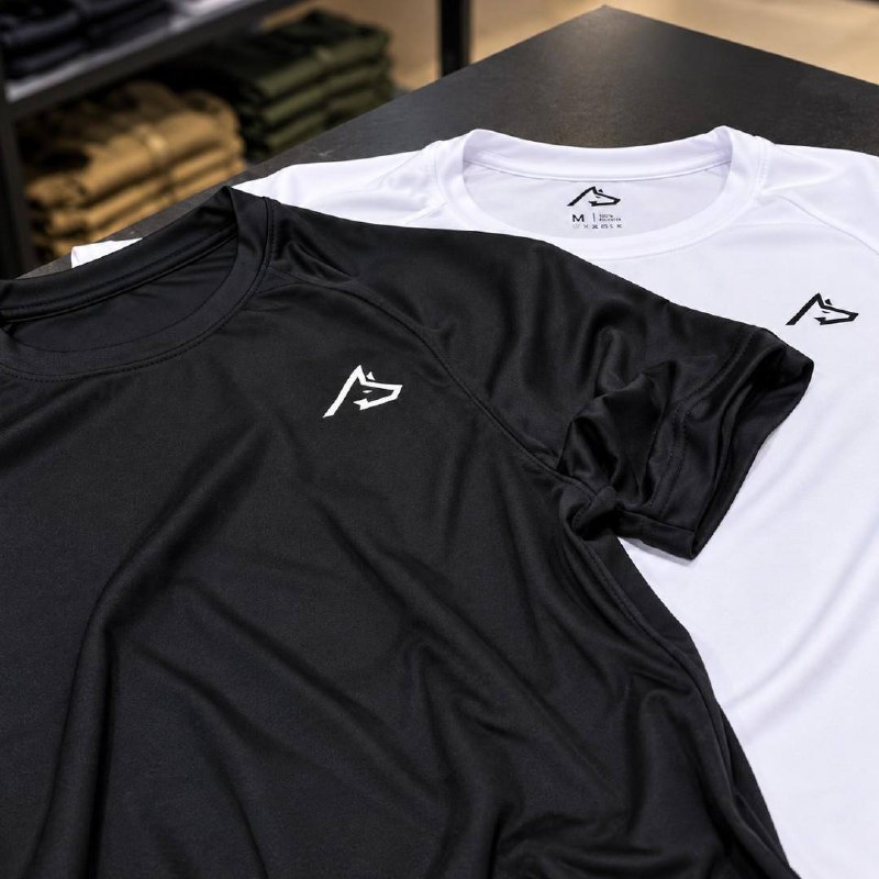 Kit 2 Camisetas Dry Wolf Alpha