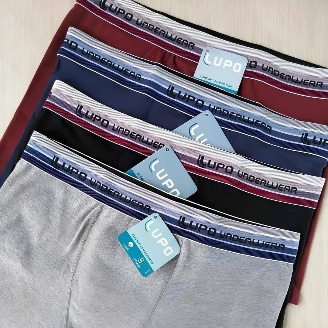 Kit 10 Cuecas Boxer Lupo Algodão Confortável Box Original