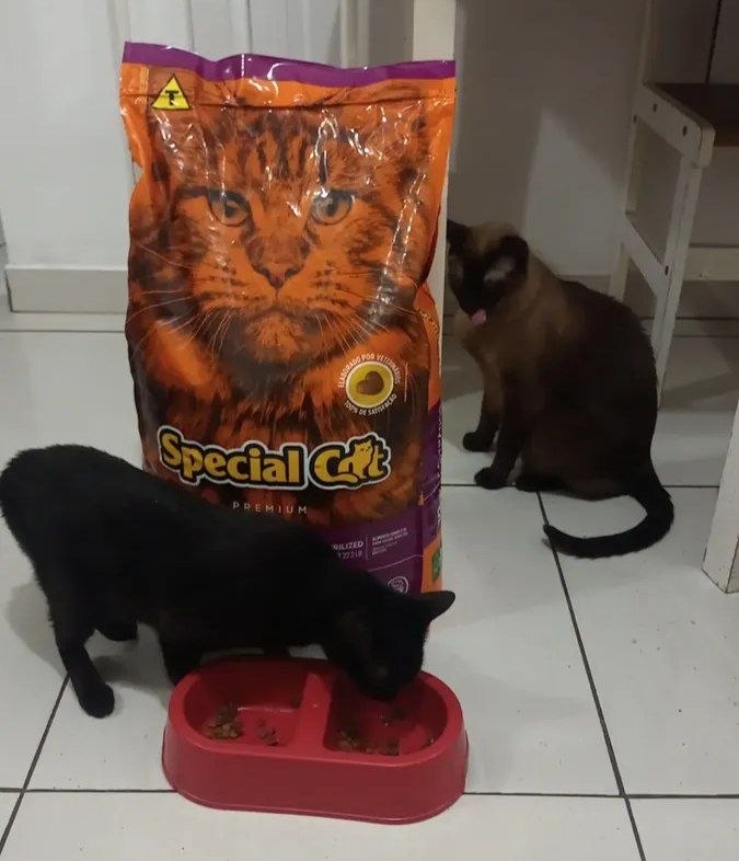 Ração Alimento Seco Special Cat Premium Gatos Castrados 10.1kg