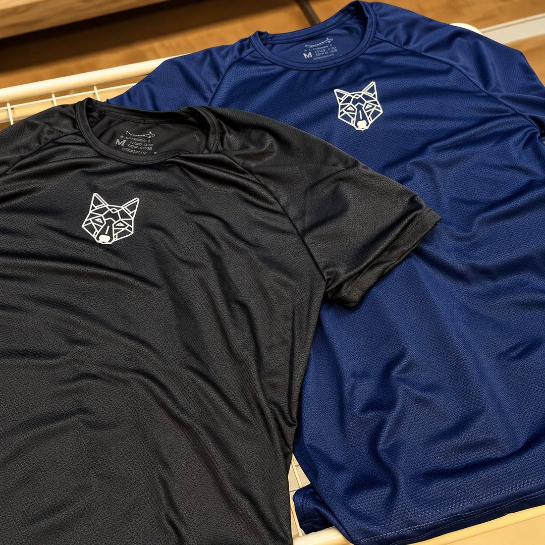 Kit 2 Camisetas Masculina Dry Alpha