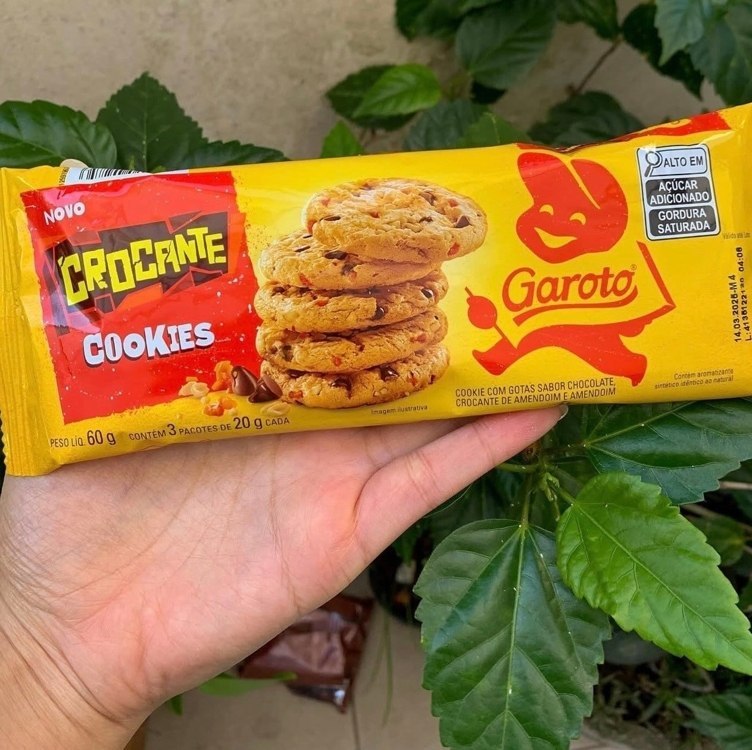 Cookie GAROTO Crocante 60g