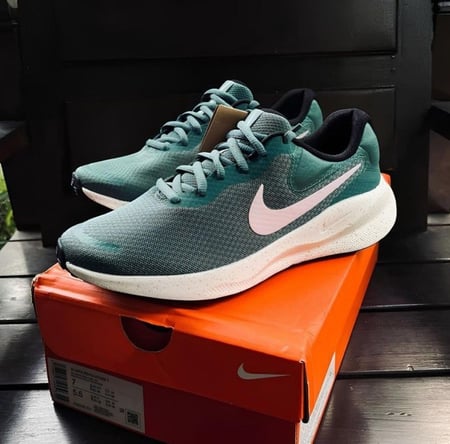 Tênis Nike Revolution 7 Feminino