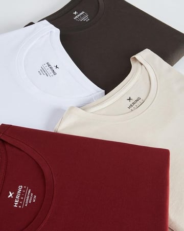 Kit Com 5 Camisetas Masculinas Básicas Hering 