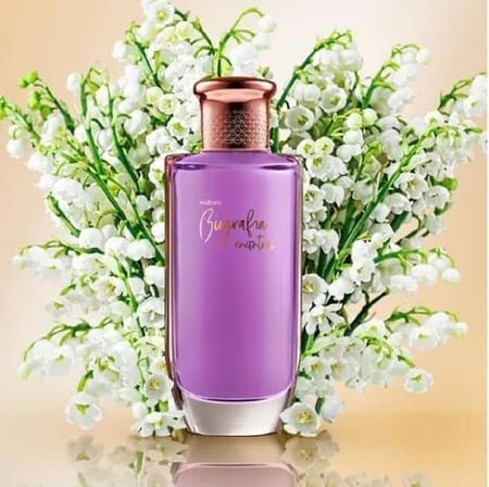Perfume Biografia Encontros Natura Feminino 100ml