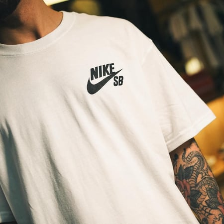 Camiseta Nike Sb Masculina
