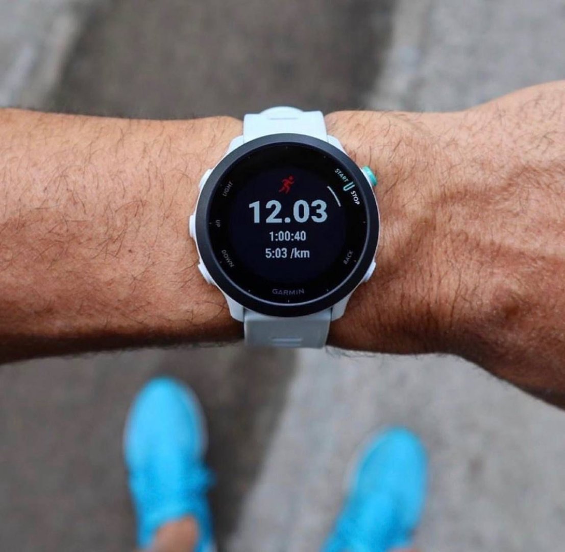 Smartwatch Garmin Forerunner 55