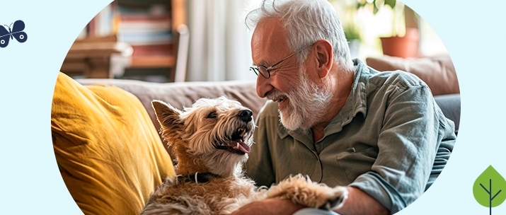 🐾 Como Economizar com Cupons de Desconto Cobasi: Dicas para Cuid...