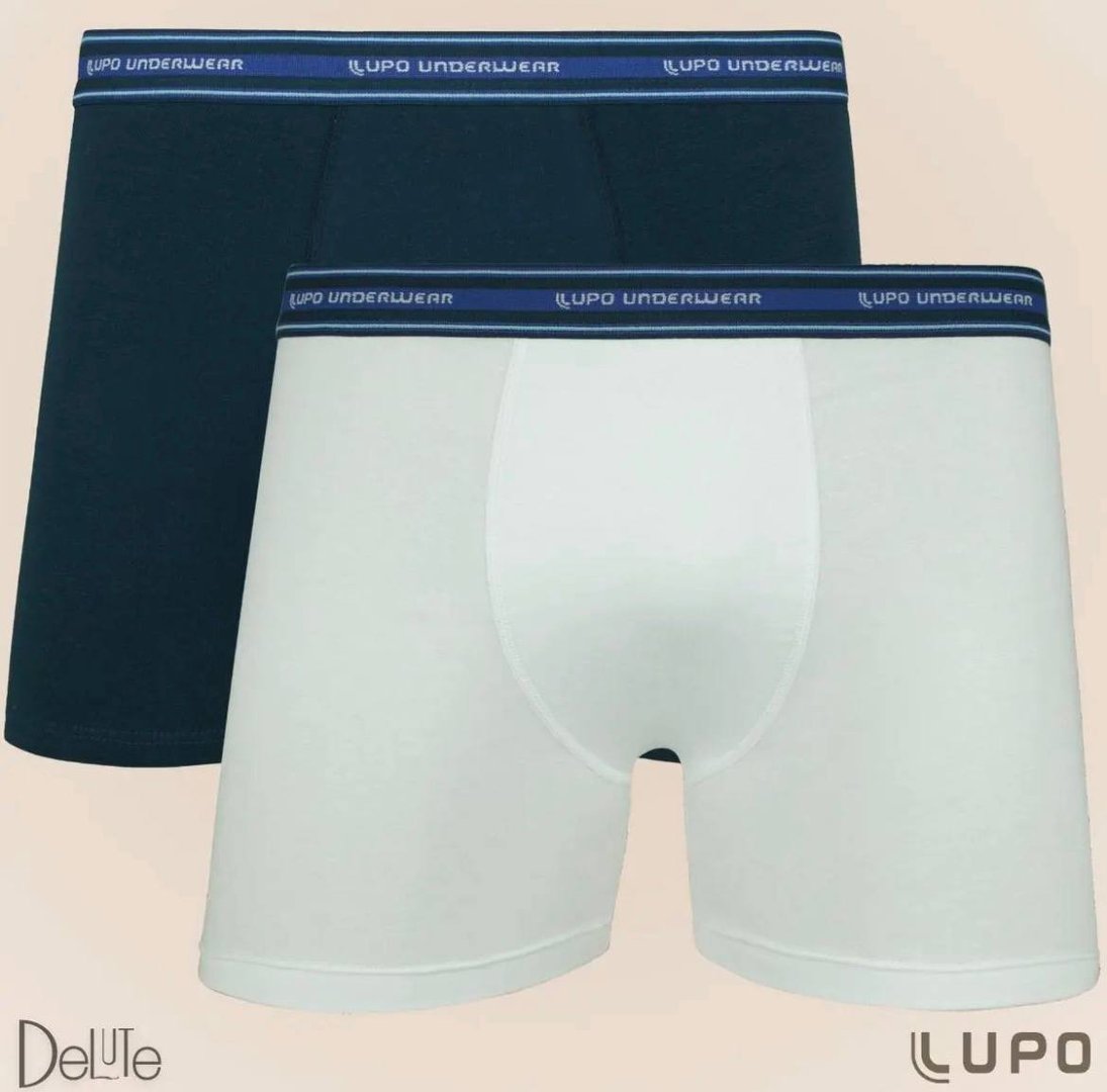 Kit 2 Cuecas Boxer Lupo Algodão Box Masculina