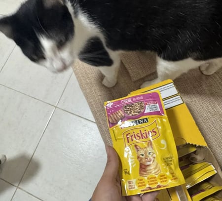 Kit 15 Un Sache Friskies Gato Carne Molho 85g Petisco Felino