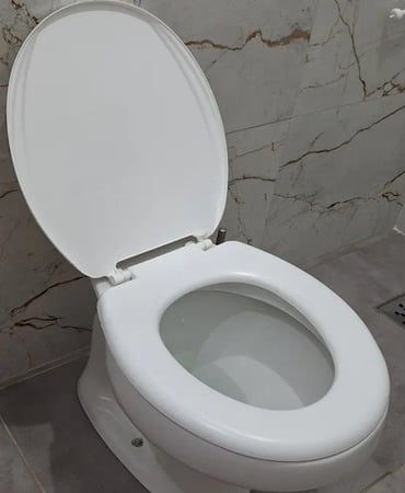 Assento Sanitário Almofadado Para O Vaso Ravena Deca 6.0lpf