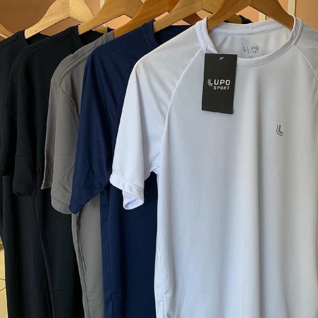 Camiseta Esportiva Lupo Masculina Dry