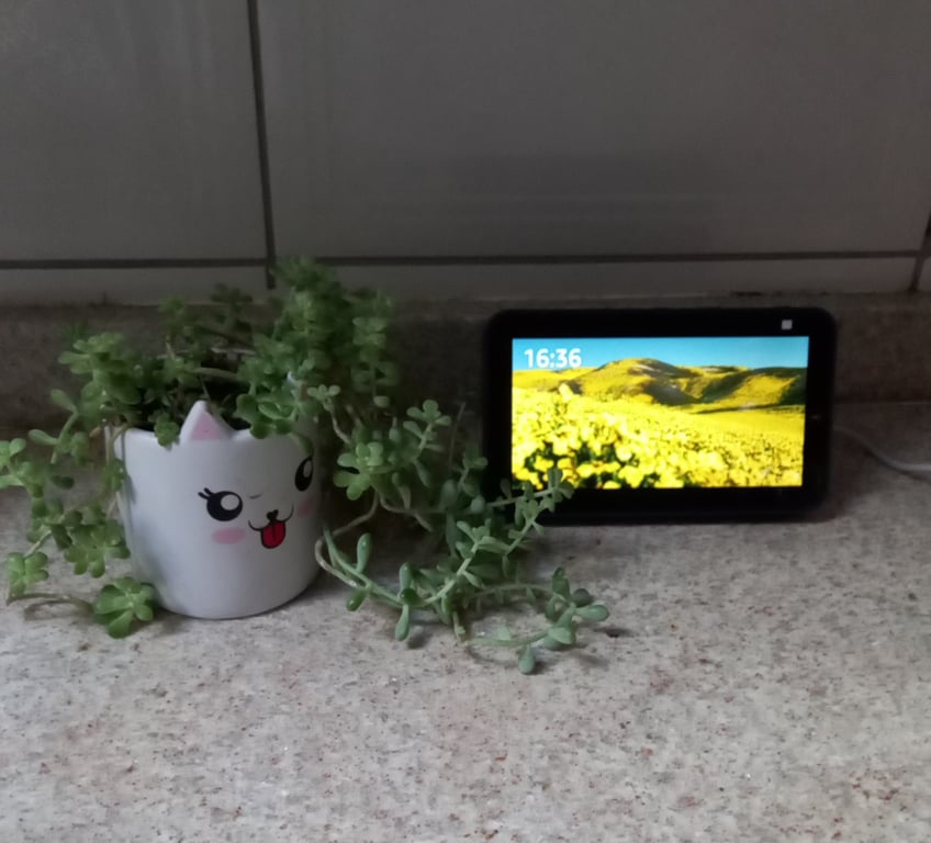 Echo Show 5 (2ª Geração): Smart Display de 5" com Alexa e câmera ...