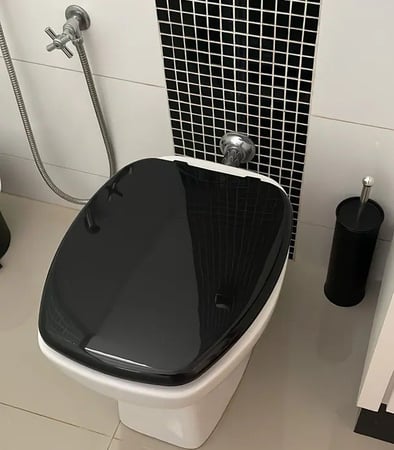 Assento Almofadado Astra Tampa Vaso Thema Preto Incepa