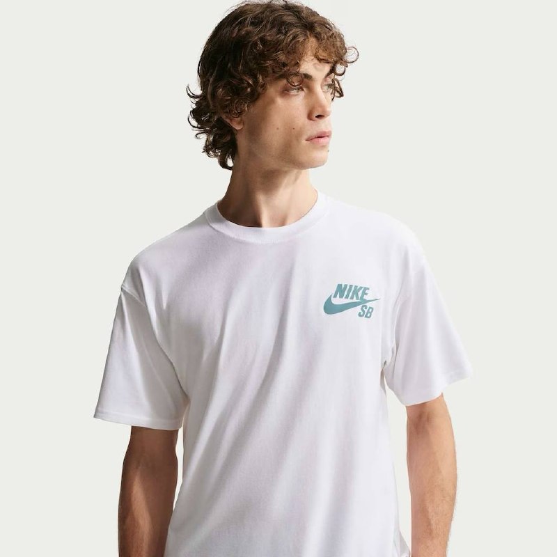 Camiseta Nike SB Masculina