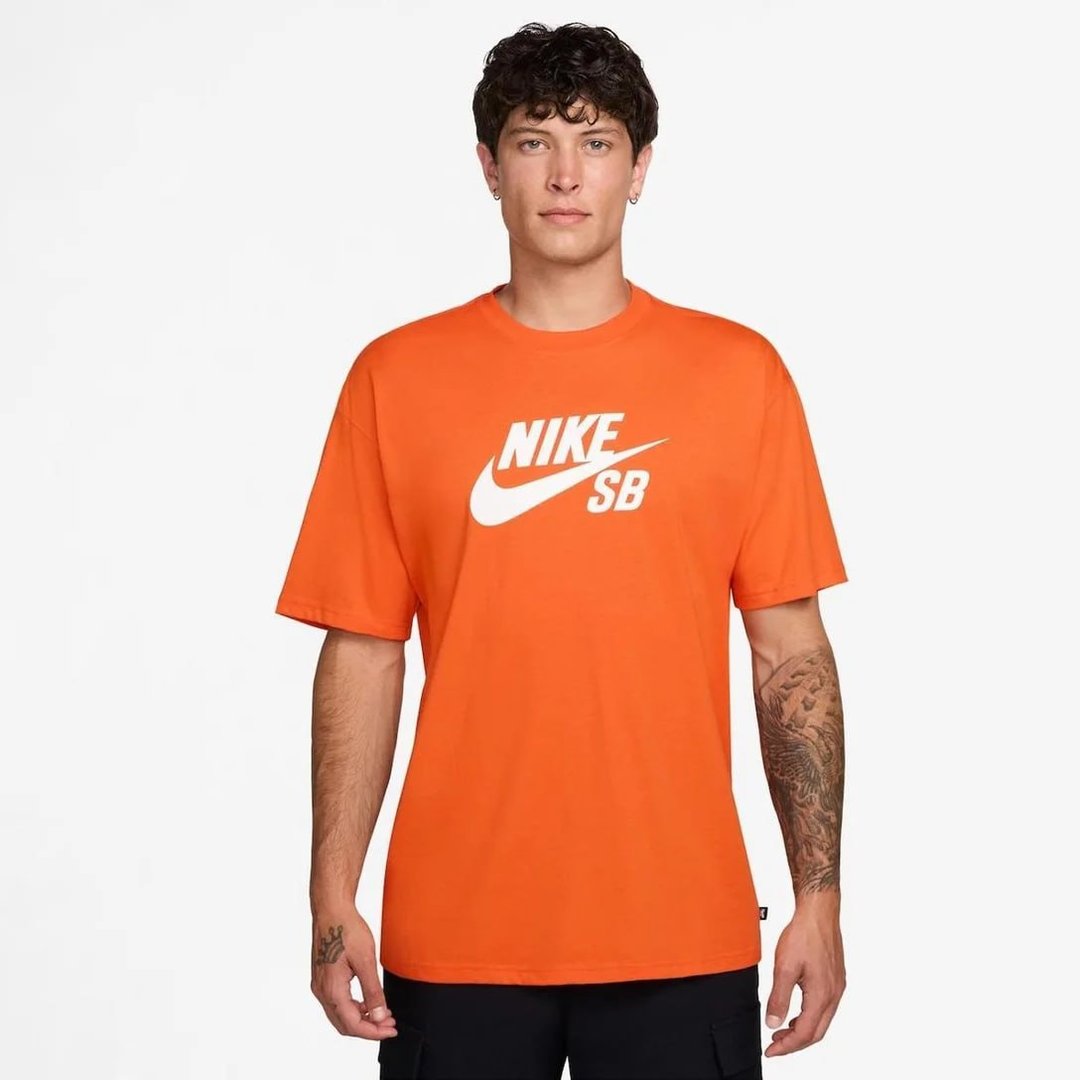 Camiseta Nike Sb Masculina