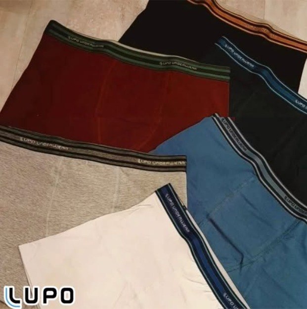 Kit 10 Cuecas Boxer Lupo Poliamida Sem Costura Box Original