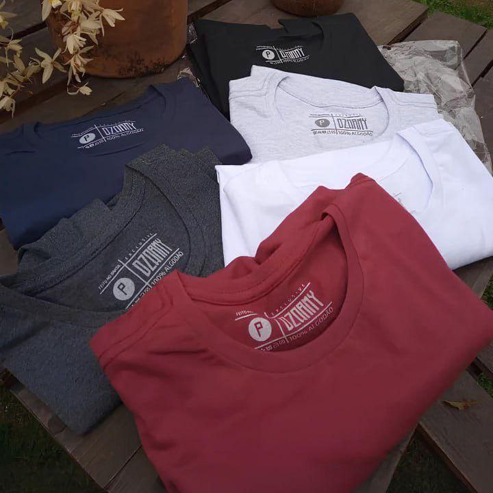 Kit 5 Camiseta Masculina 100% Algodão  Basica Treino