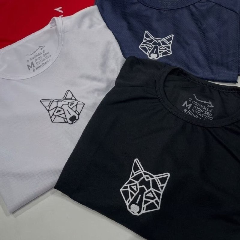 Kit 2 Camisetas Masculina Dry Alpha
