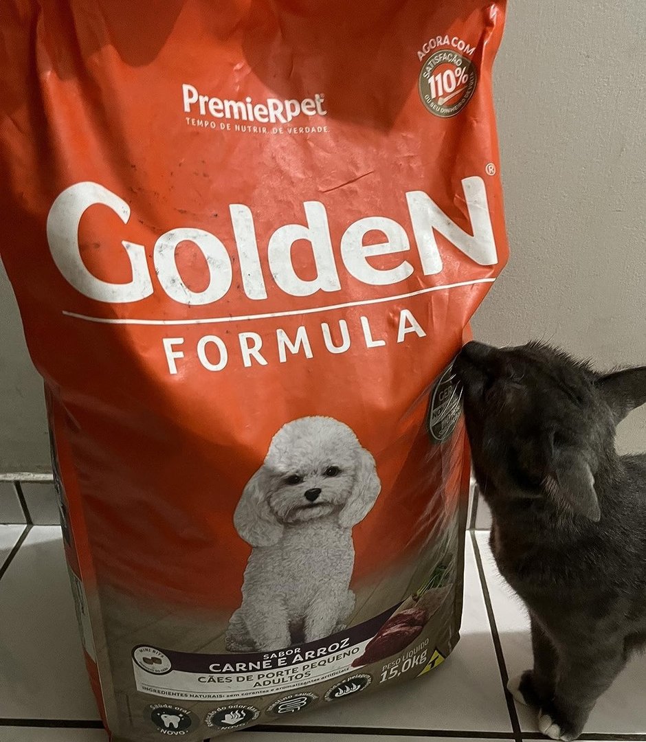 Ração Golden Premier Pet Fórmula Mini Bits para Cães Adultos Pequeno Porte Sabor Carne e Arroz - 15kg