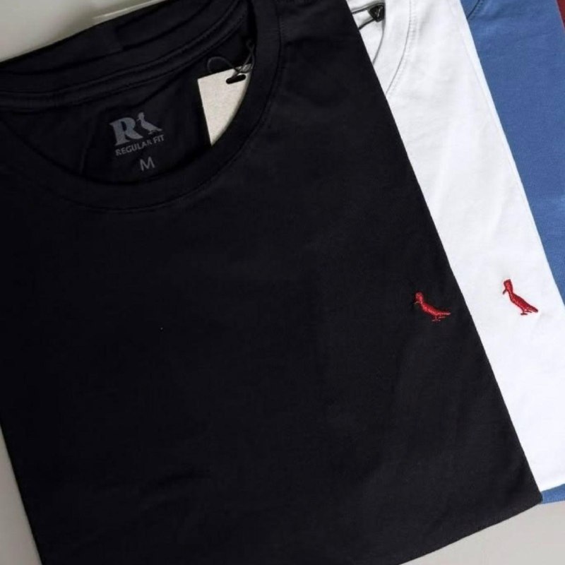 Kit 2 Camisetas Brasa Pica Pau Bordado Reserva