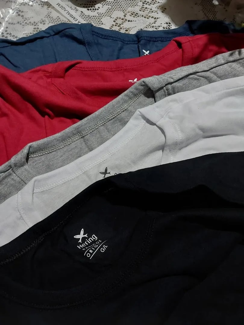 Kit Com 5 Camisetas Masculinas Lisa Multicolorida Hering Multicolorido Liso G