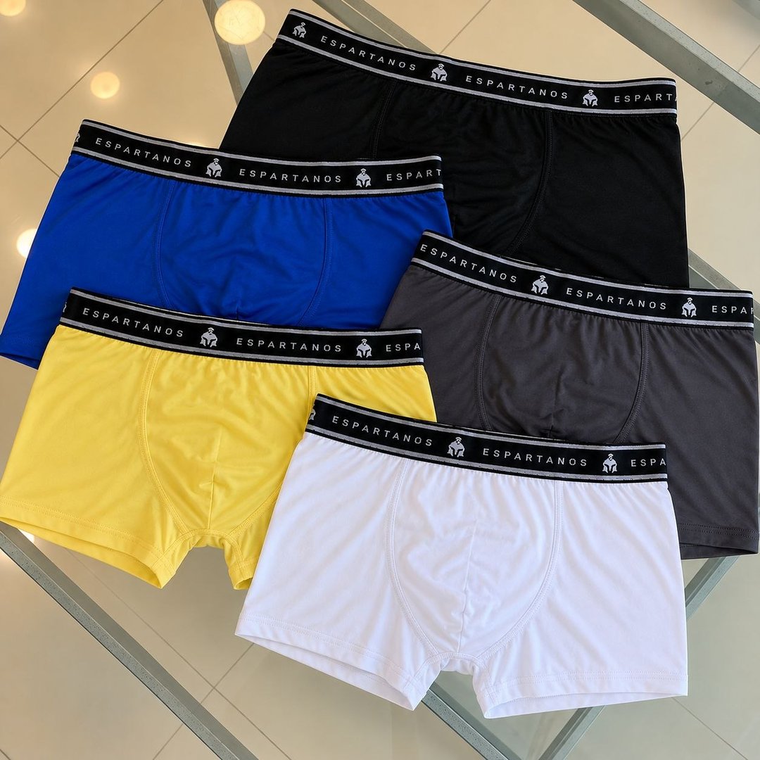 Kit Com 10 Cuecas Boxer Masculina Microfibra
