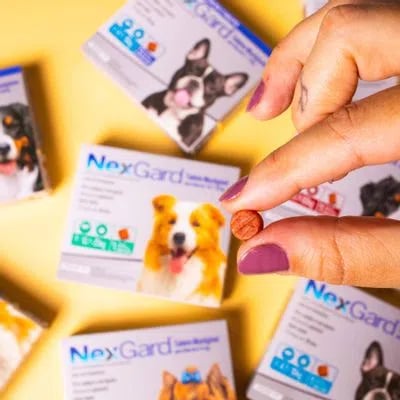 Proteção Completa e Deliciosa para Seu Cão com NexGard Spectra!