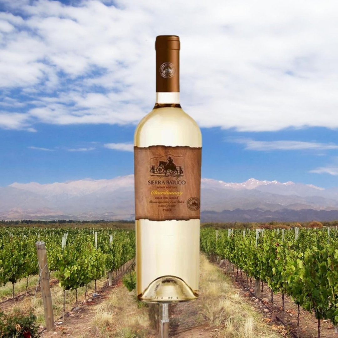 Sierra Batuco Vinho Branco Chileno Chardonnay 750Ml