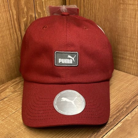 Boné Aba Curva Puma Strapback Ess Cap III - Adulto